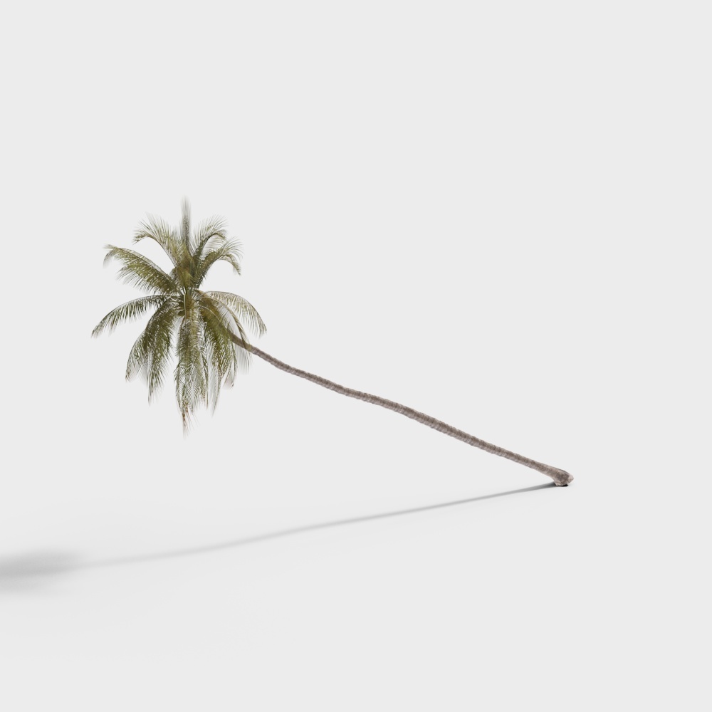 Palm Tree 1-Yj