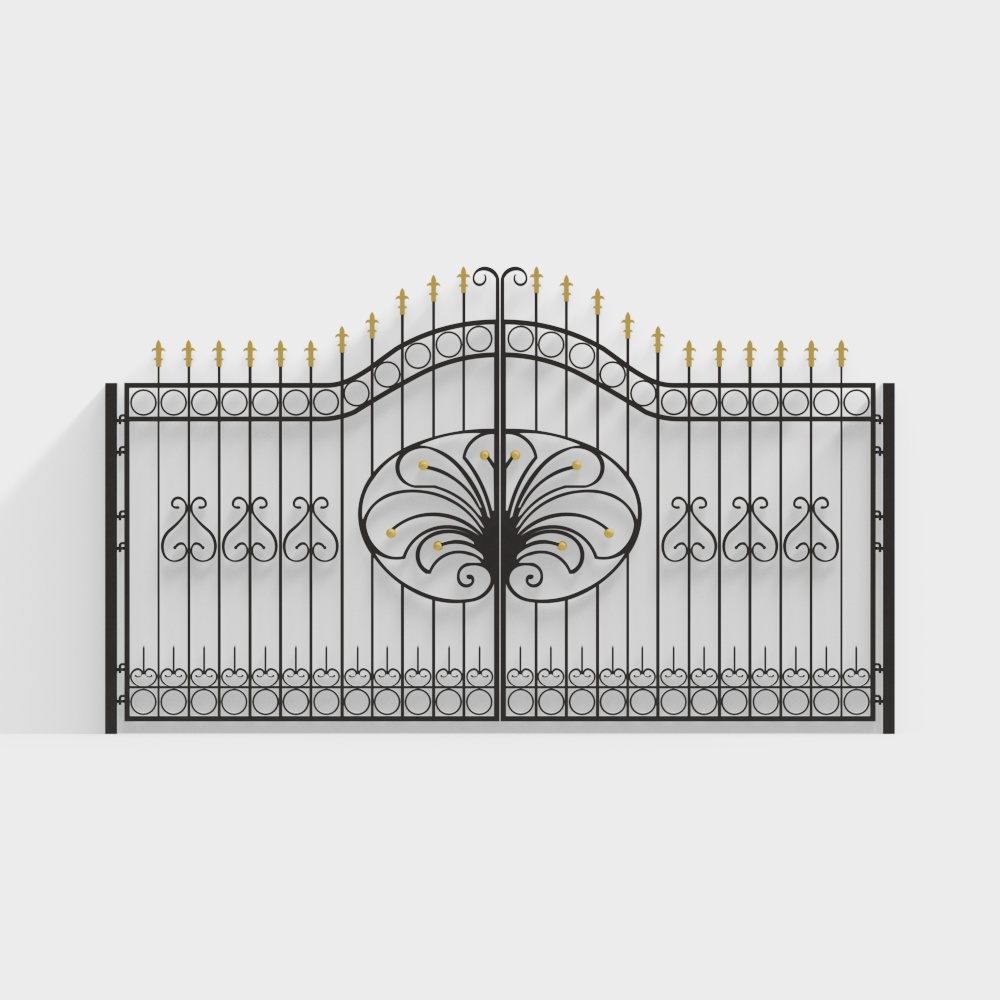 Modern style wrought iron door