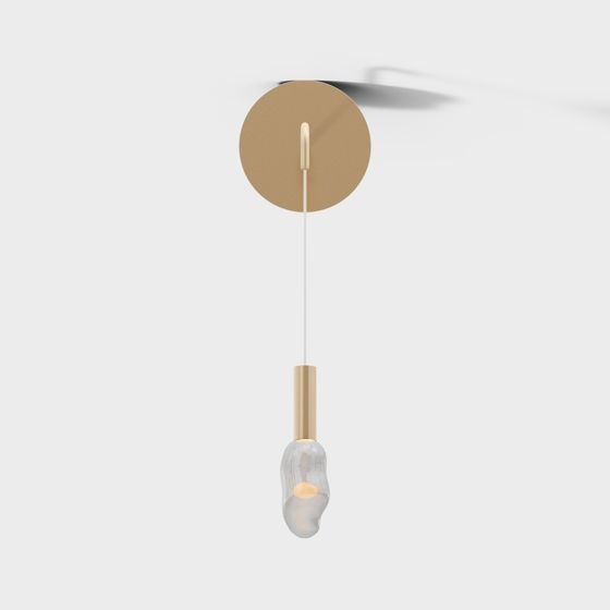 Elegant Modern Pendant Light 3D model