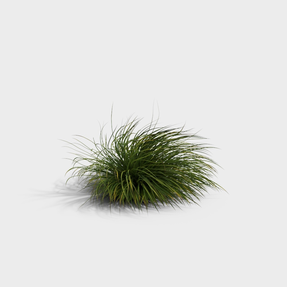 Grass 3-YJ