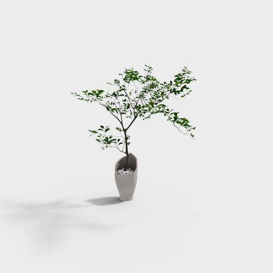 Cây chậu [dòng GRAMIT] hiện đại