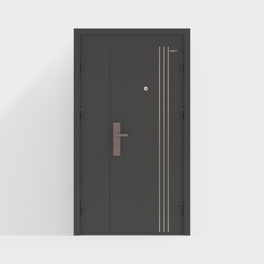 Modern dark grey metal security door with bronze handle and silver stripes on white background