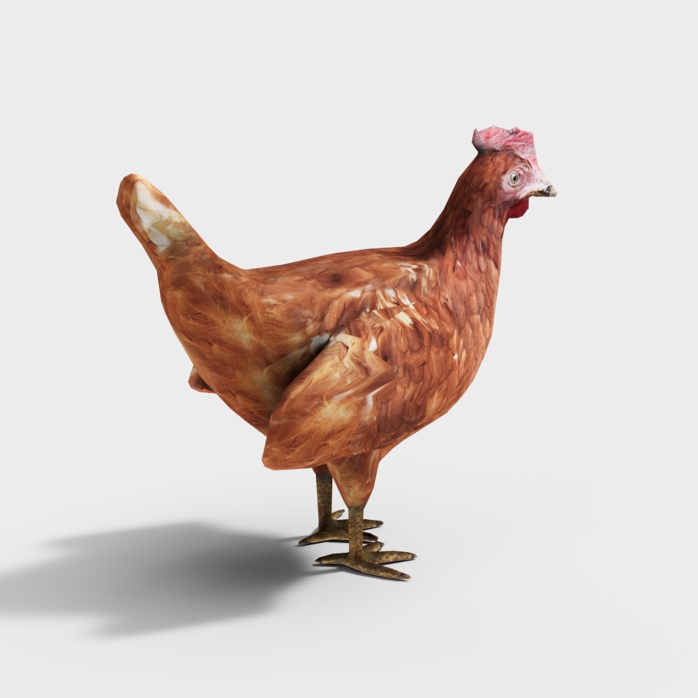 Realistic Low-Poly Hen 3D Model – Farm Animal Asset