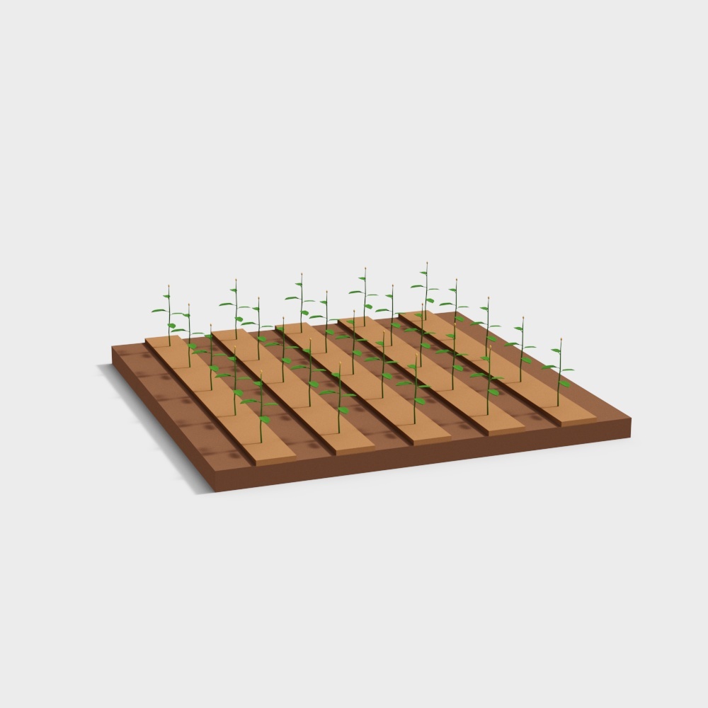 Seedling Planting Area 3D Model – Realistic Natural Element
