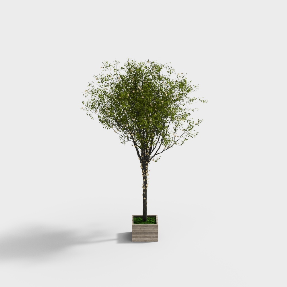Urban Oasis 3D Tree Model – Realistic Low-Poly Foliage