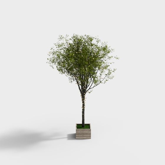 169 Green Tree 3D Model