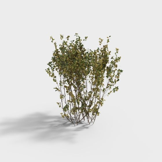 Forest Spirit Low Poly 3D model