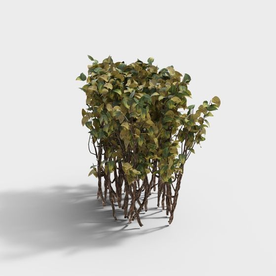 Forest Wall Low Poly Plant 3D model for Creative Projects