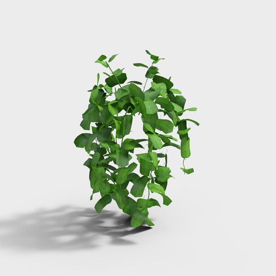 Lifelike Vine Plant 3D Model for Designers