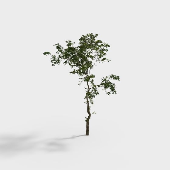 Vibrant 3D Model Tree for Creative Projects