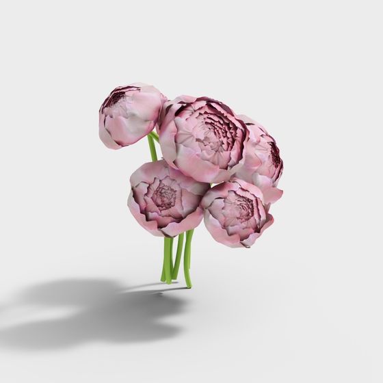 Floral Harmony 3D model