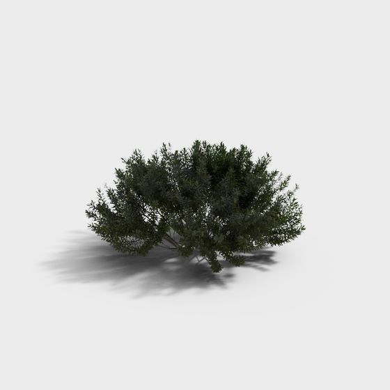 Realistic Low-Polygon Bush 3D model