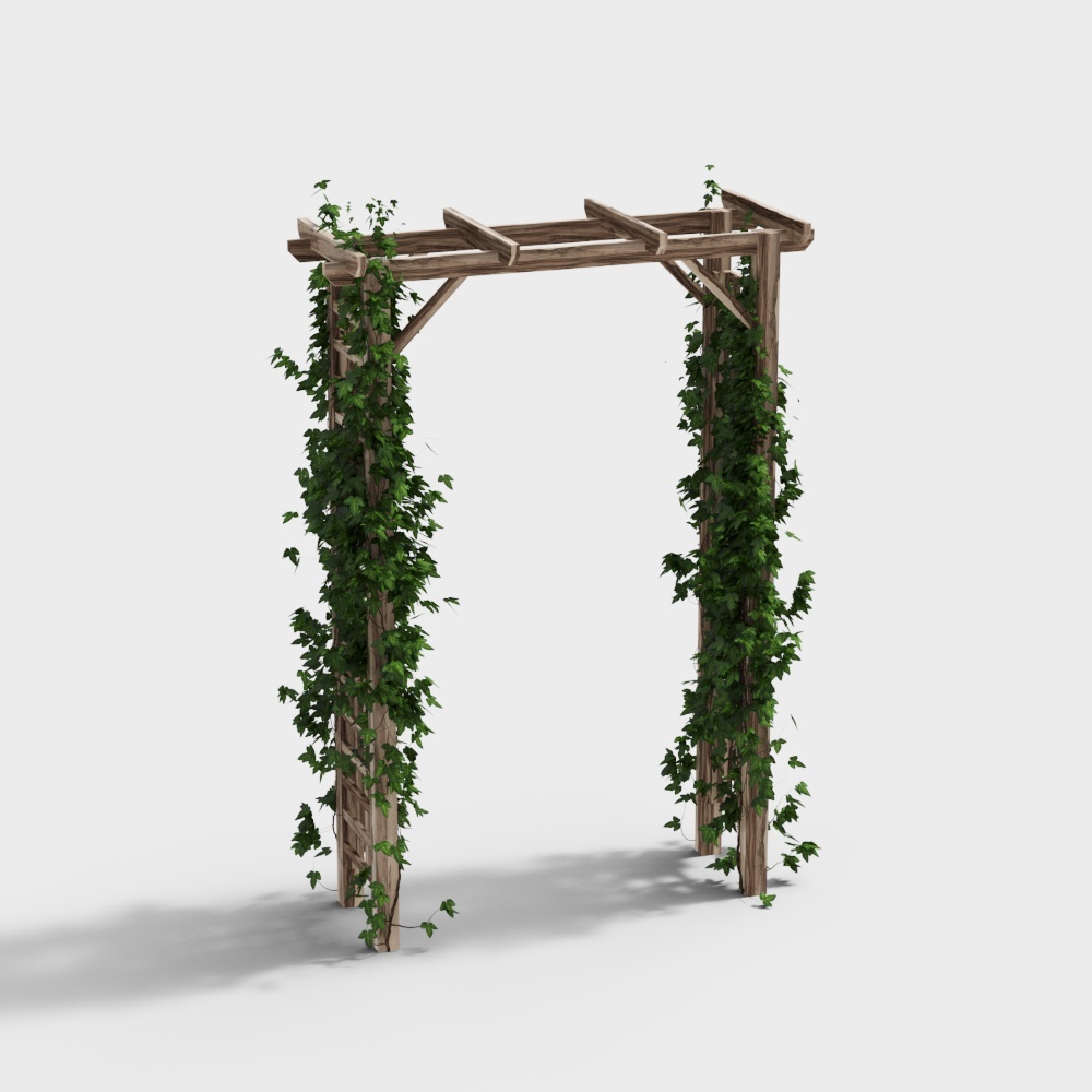 Plantes vertes et fleurs