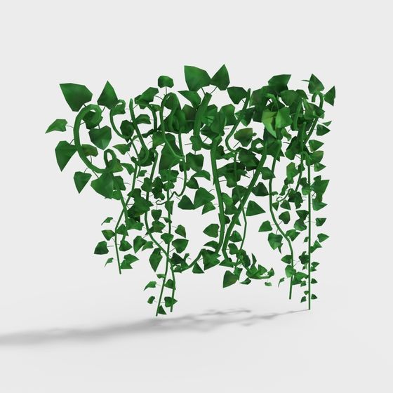 Vine Plant 3D Model for Creative Projects