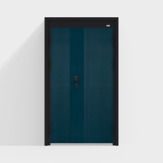 Входная дверь/защитная дверь