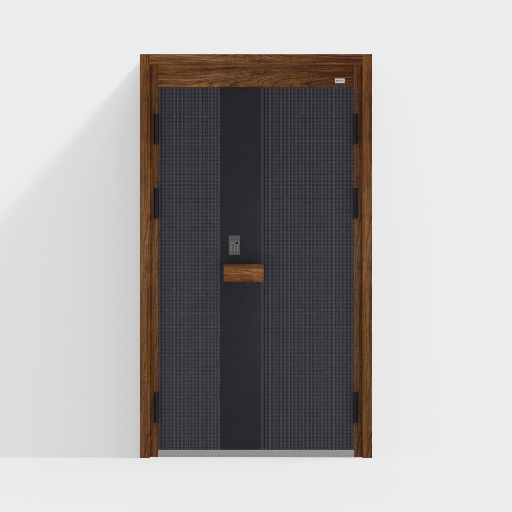Entry door/security door