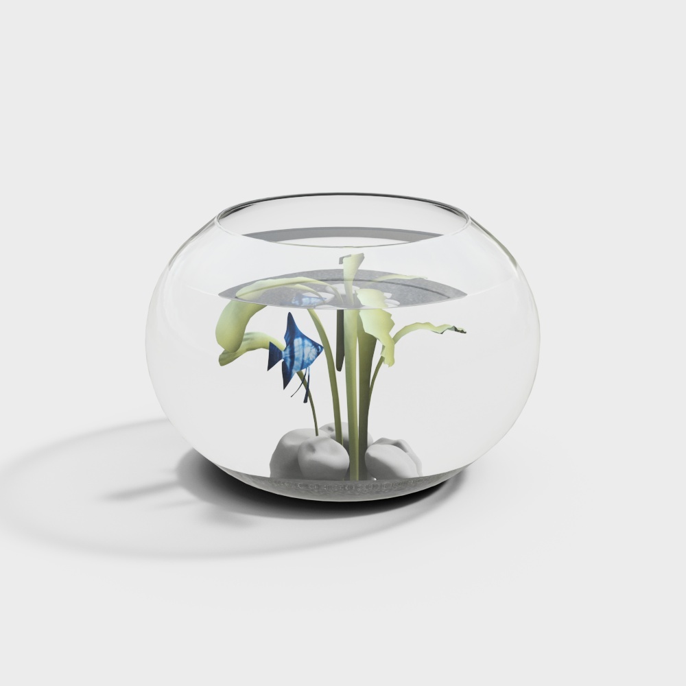 Aquarium with Aquatic Plants 3D model