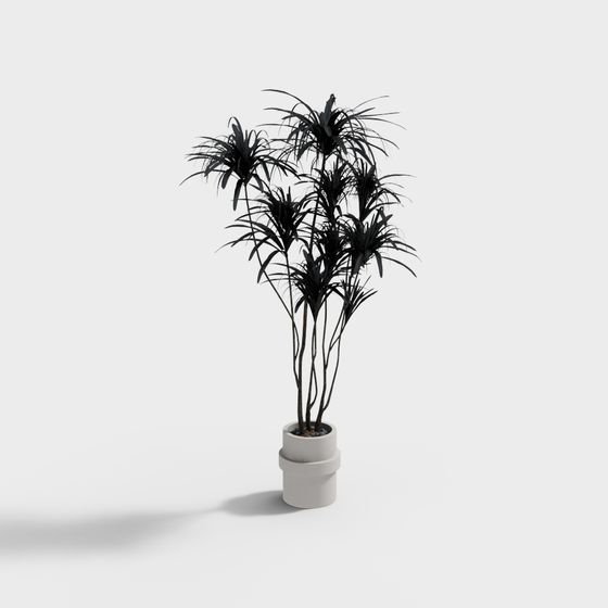 Modern Dracaena Marginata 3D model for Contemporary Spaces