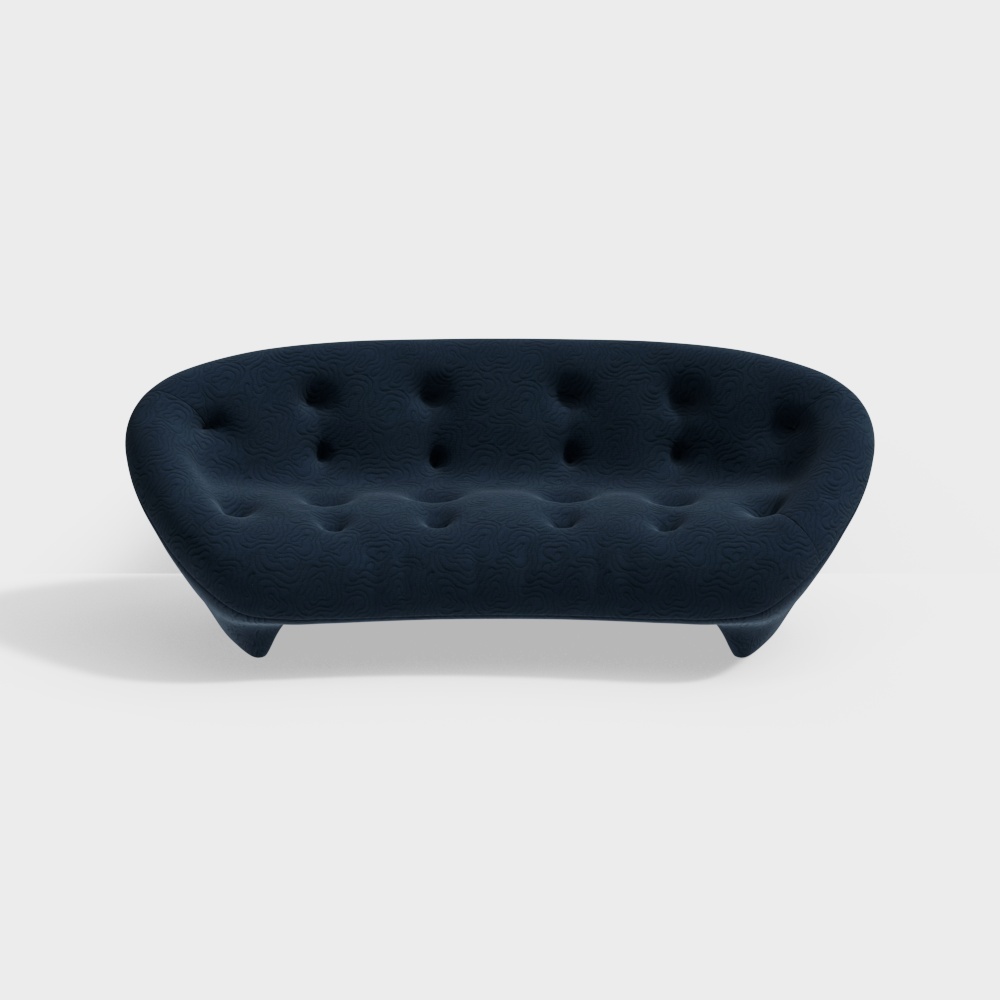 Ligne Roset Modern two-seater dark sofa