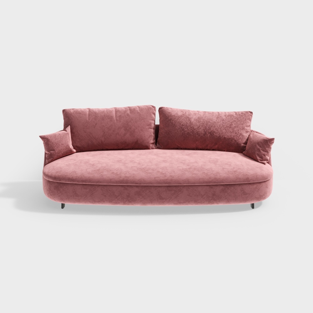 French living room double sofa