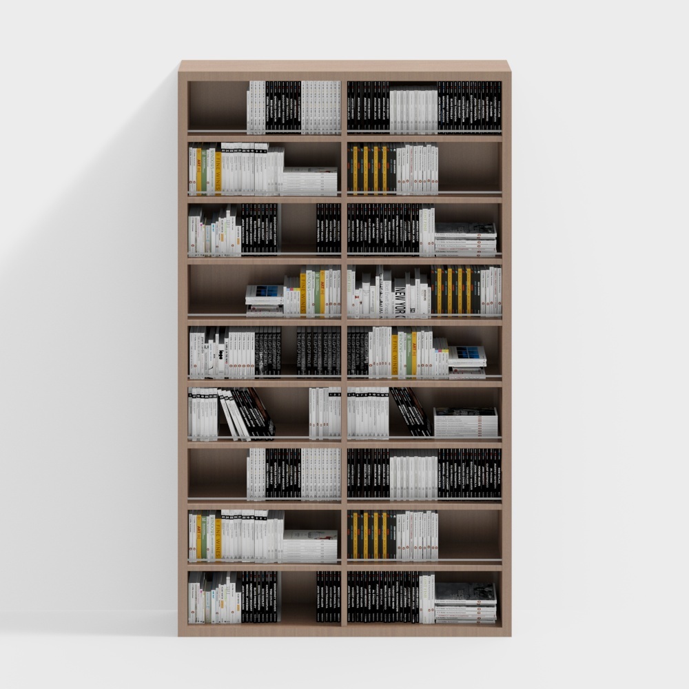 Modern library bookcase