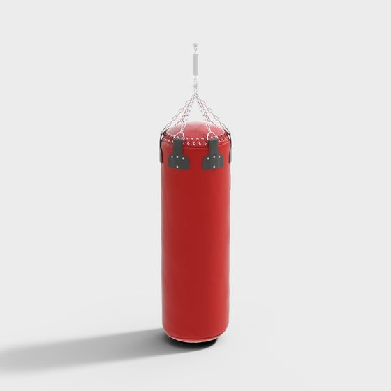 Realistic Hanging Punching Bag 3D model