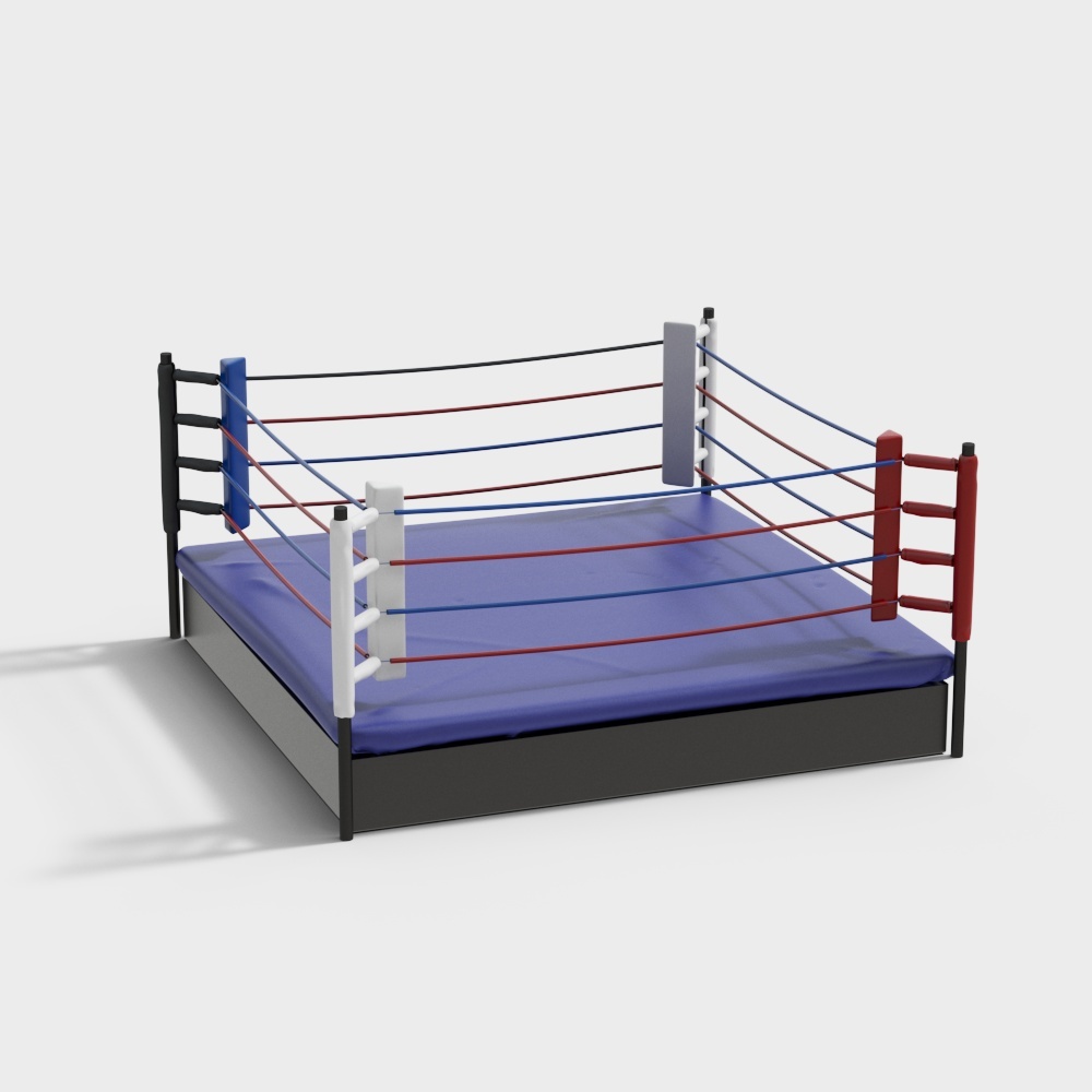 Modern boxing gym ring