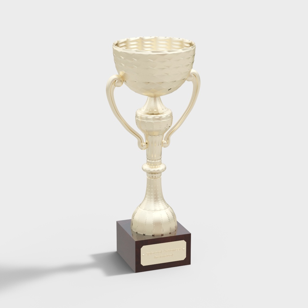 Elegant Trophy 3D Model for Celebrating Victory