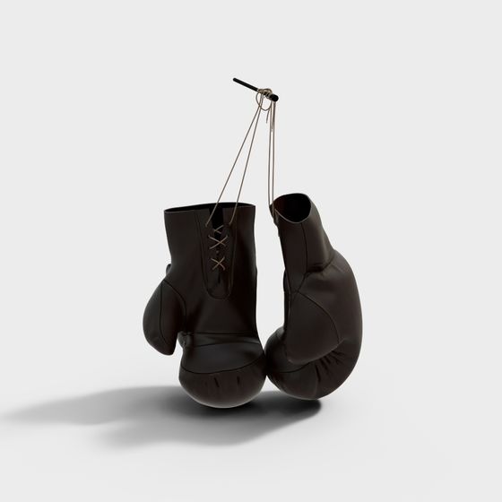gants de boxe modernes