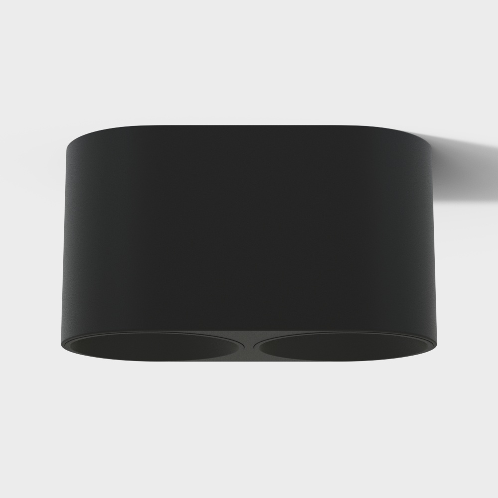 Modern black metal ceiling light with two round bulbs on white background