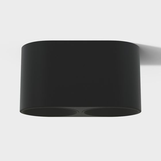 Modern black metal ceiling light with two round bulbs on white background
