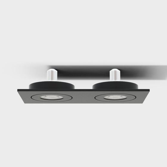 Double Head Recessed Light 3D Model for Modern Design
