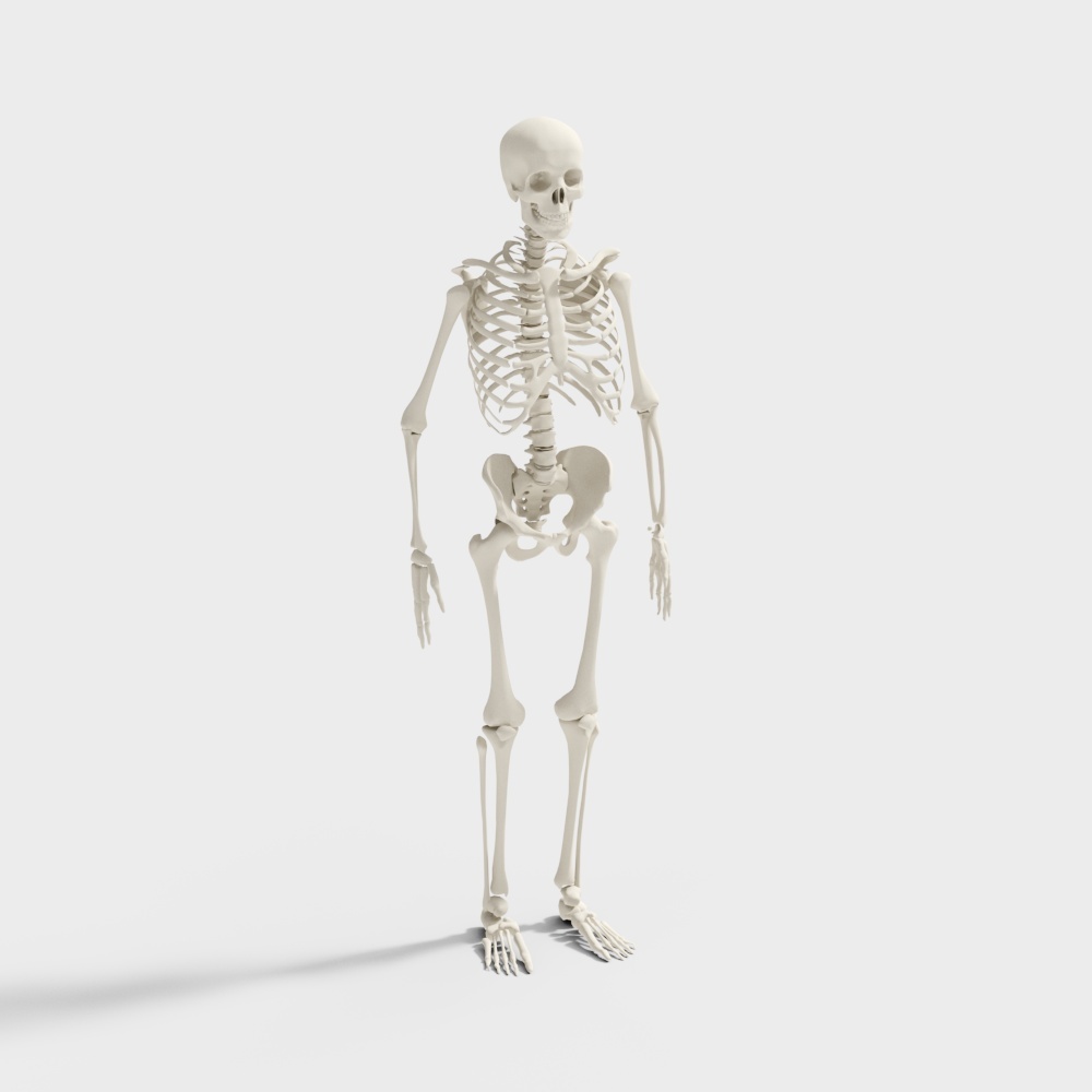 Public Row Chair Lounge Chair 3D Model in Gray for Medical Use