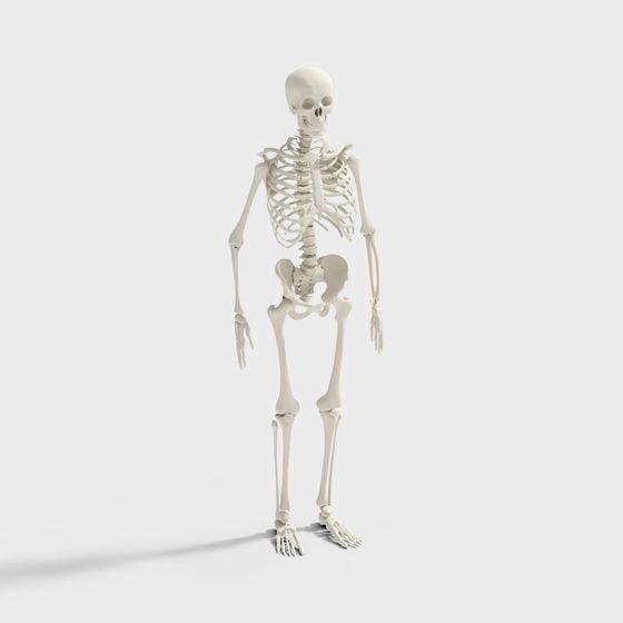 Public Row Chair Lounge Chair 3D Model in Gray for Medical Use