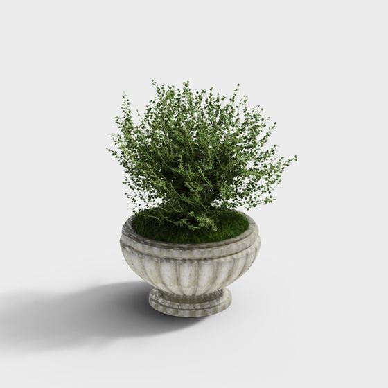 Einfache europäische blaue und weiße Blumentöpfe