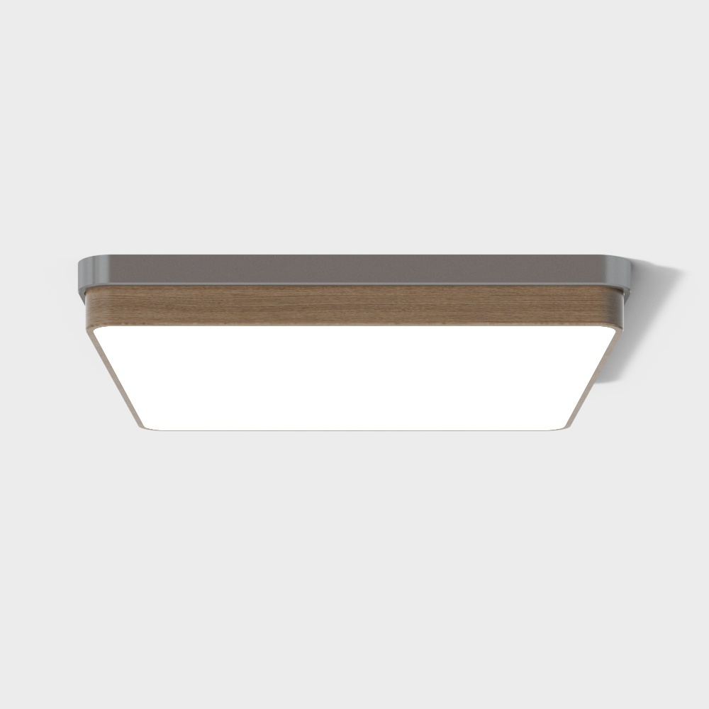 Modern gold gray ceiling lamp