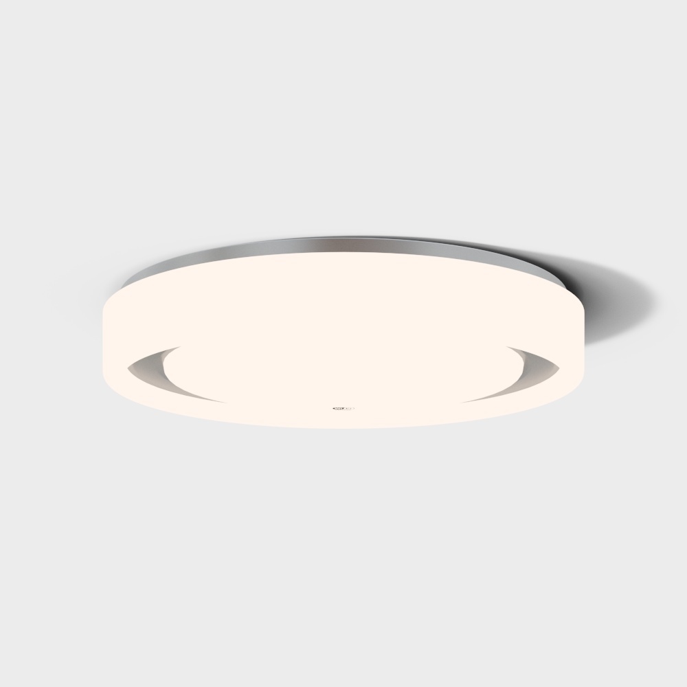 北歐圓形銀色天花板燈 36W 2700-6500K 臥室白光