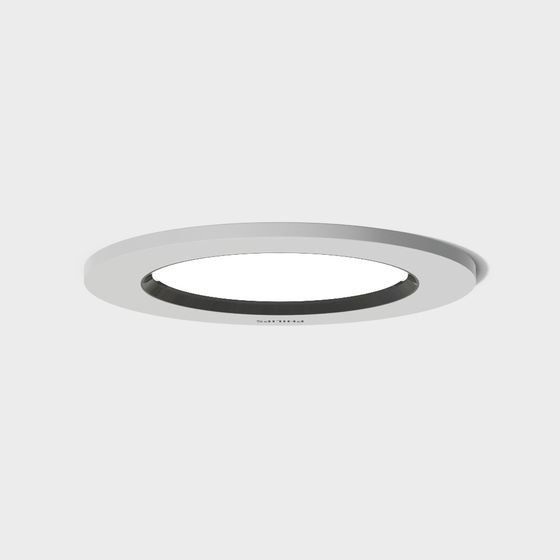 Downlight 3D Model in Gray