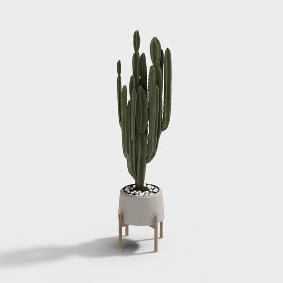 Stylish Cactus 3D model for Interior Design