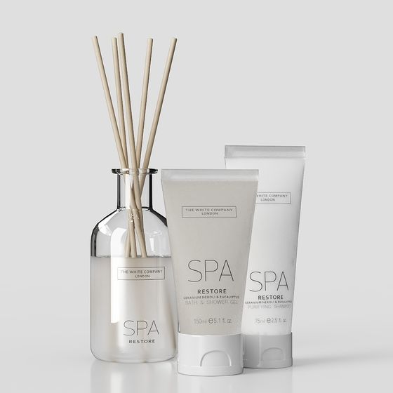 Spa Restore 3D model for Creative Projects