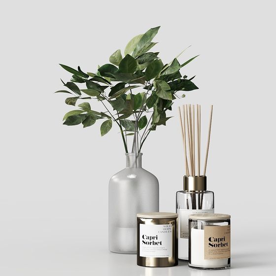 Chic Indoor Aroma Corner 3D model for Creative Projects