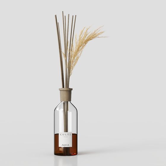 Aqua Diffuser 3D model