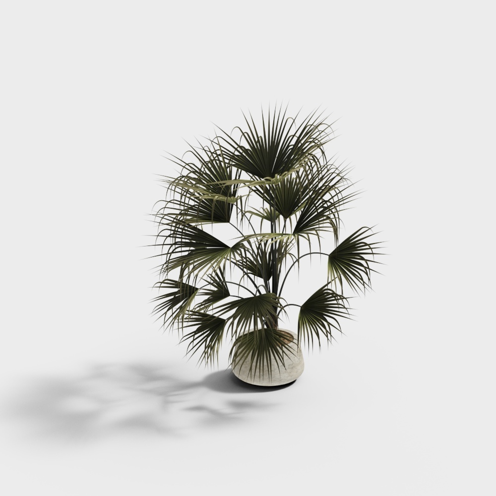 Potted plants-wx