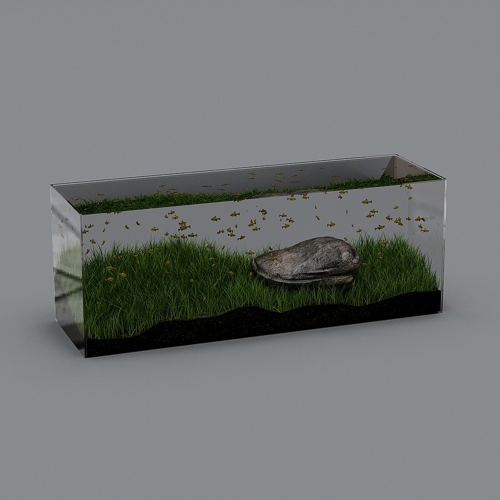 Modern fish tank aquarium