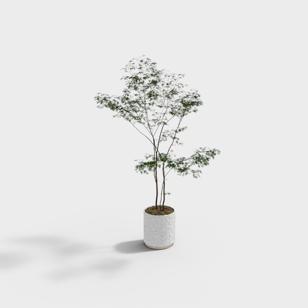 Vibrant Potted Plant 3D Model – Low-Poly Greenery