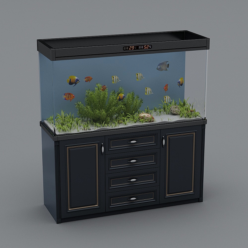 fish tank