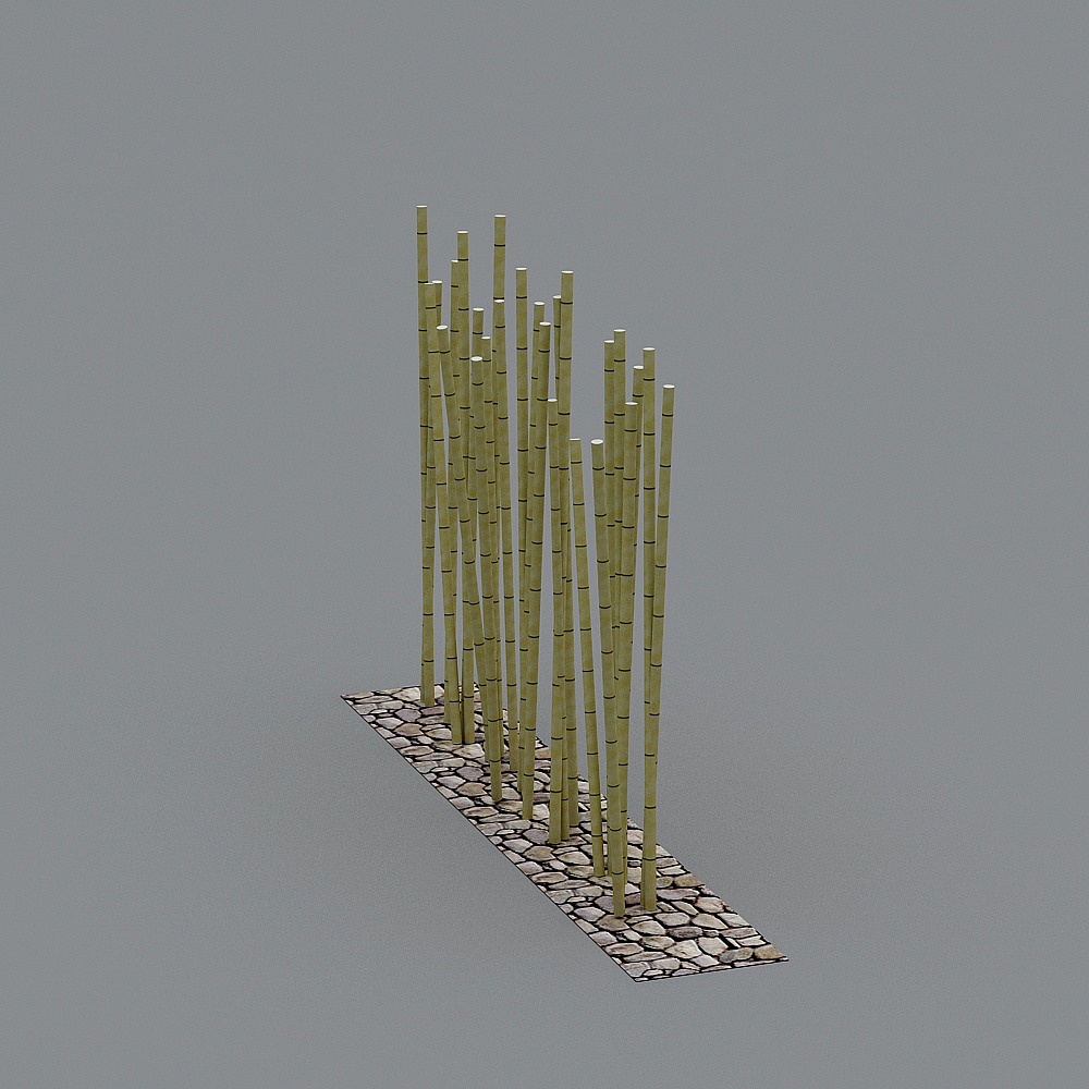 Bamboo (1)