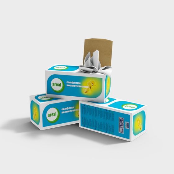 Elegant Low-Poly Cosmetic Tissues Box 3D model