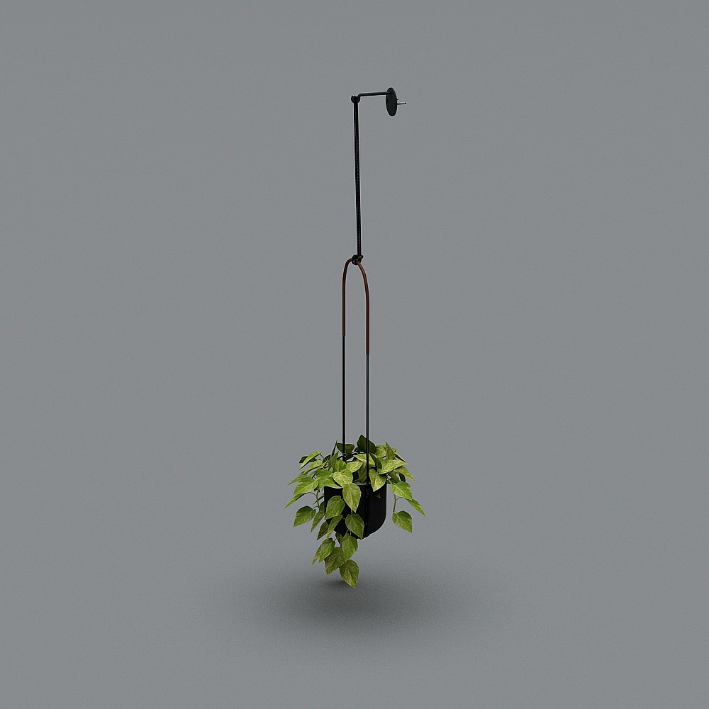 HANGING PLANTS-02