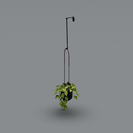 HANGING PLANTS-02